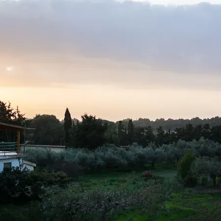 Casa Mare E Fiori Nella Valle Dei Templi * San Leone